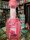 Nicols Flower Air freshener - vn kvtin 375ml
